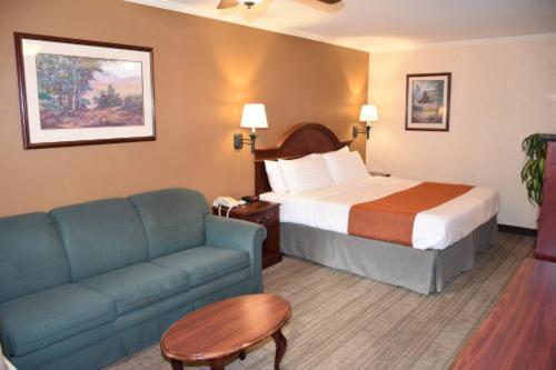 Dynasty Suites Редлендс Номер фото