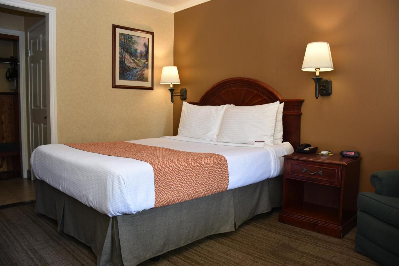 Dynasty Suites Редлендс Экстерьер фото